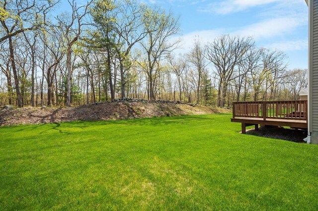 view of yard featuring a wooden deck