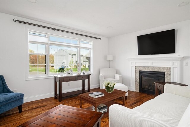 living area featuring baseboards, wood finished floors, and a healthy amount of sunlight
