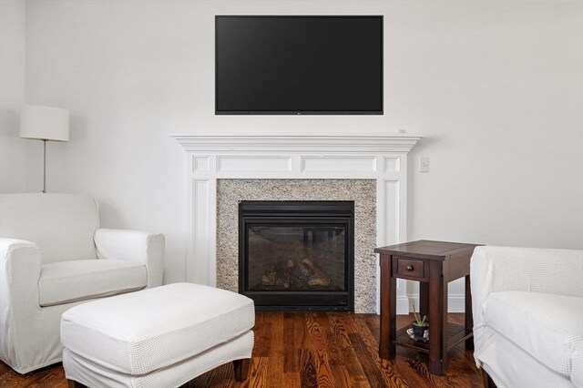 living area featuring a glass covered fireplace and wood finished floors