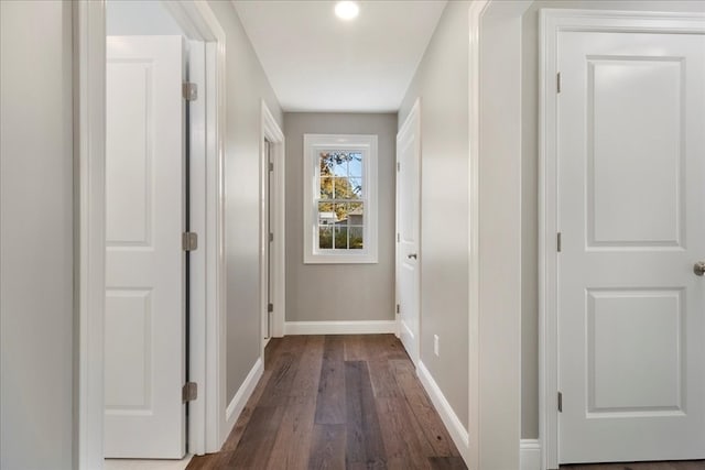 hall featuring dark wood-type flooring