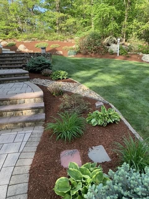 view of grassy yard