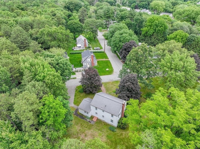 22 Liberty St, Bellingham, MA 02019 - aerial view of a forest