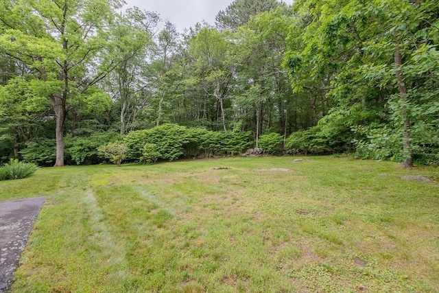 22 Liberty St, Bellingham, MA 02019 - view of grassy yard featuring a forest view