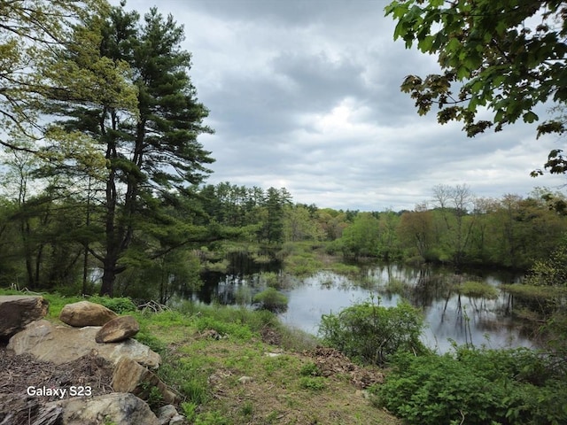 461 N Orange Rd, Athol, MA 01331 - water view with a heavily wooded area