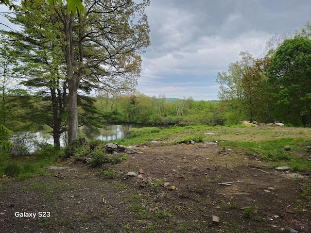 461 N Orange Rd, Athol, MA 01331 - view of undeveloped land