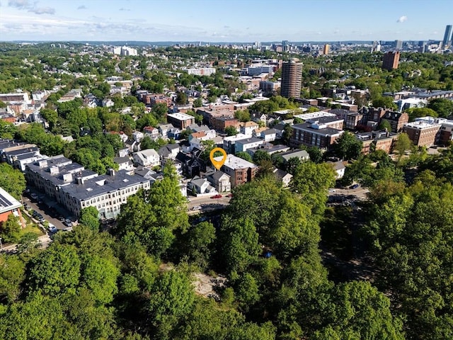 439 Walnut Ave, Boston, MA 02119 - aerial overview of property's location
