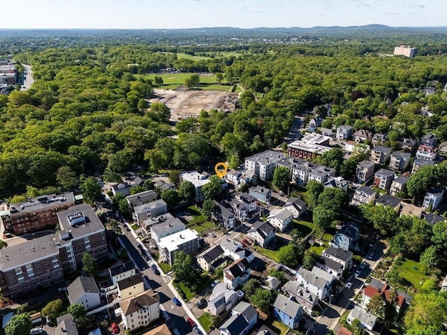 439 Walnut Ave, Boston, MA 02119 - aerial overview of property's location with a forest