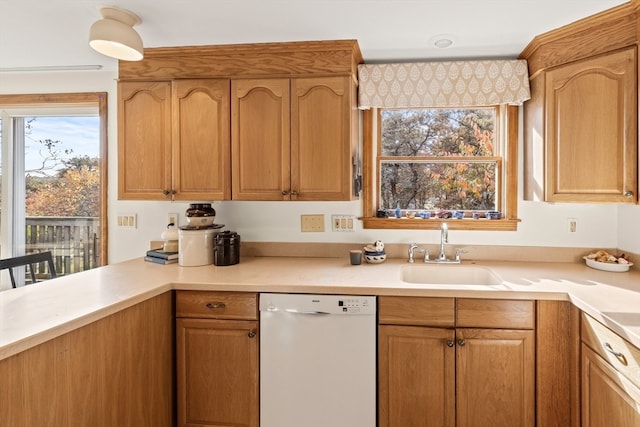 kitchen with dishwasher and sink