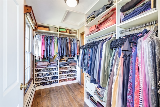 spacious closet featuring wood-type flooring and baseboard heating