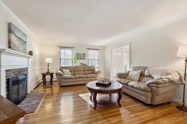 16 Kirsi Cir, Westford, MA 01886 - living room featuring light wood-style floors, ornamental molding, baseboards, a fireplace, and a baseboard radiator
