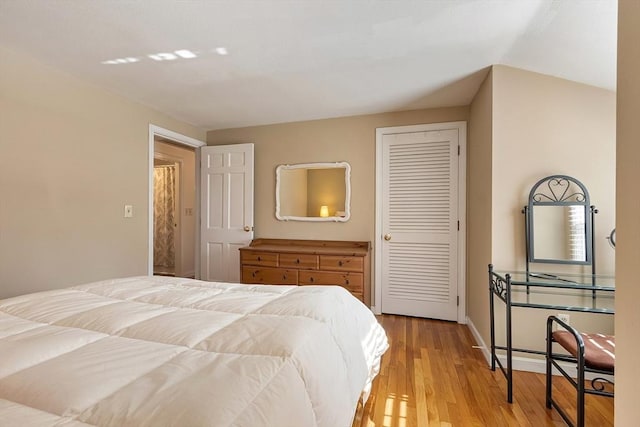16 Kirsi Cir, Westford, MA 01886 - bedroom with light wood-style floors, baseboards, and a closet