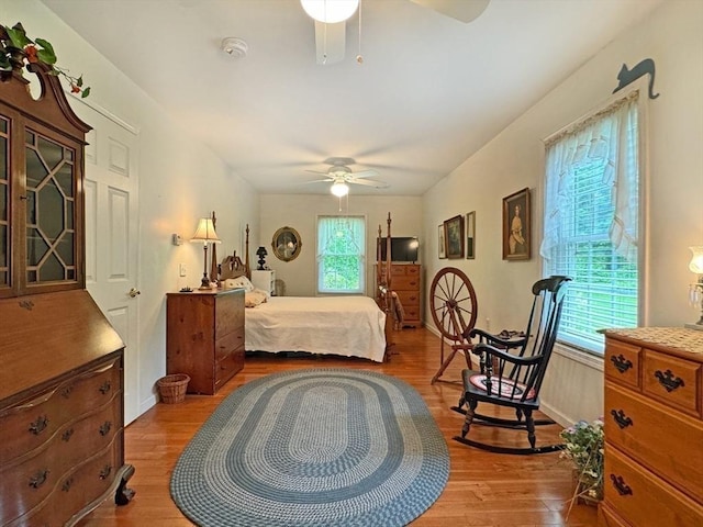 5 Boyle Rd, Gill, MA 01354 - bedroom featuring light wood-style floors and a ceiling fan