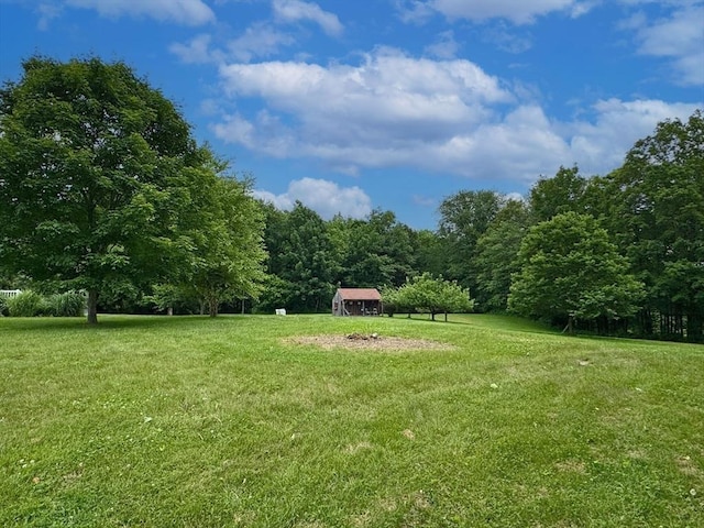 5 Boyle Rd, Gill, MA 01354 - view of green lawn with a view of trees and an outdoor structure