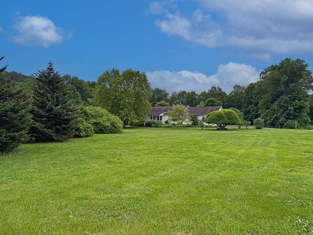 5 Boyle Rd, Gill, MA 01354 - view of green lawn