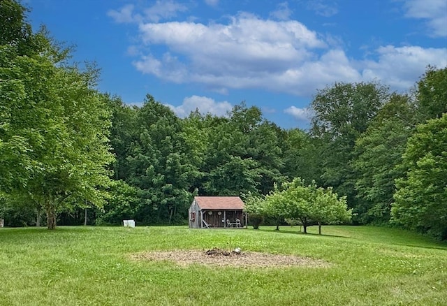 5 Boyle Rd, Gill, MA 01354 - view of green lawn with a view of trees and a storage unit