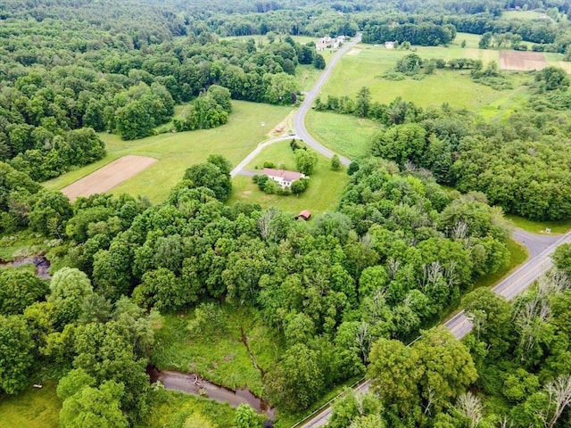 5 Boyle Rd, Gill, MA 01354 - bird's eye view of a forest