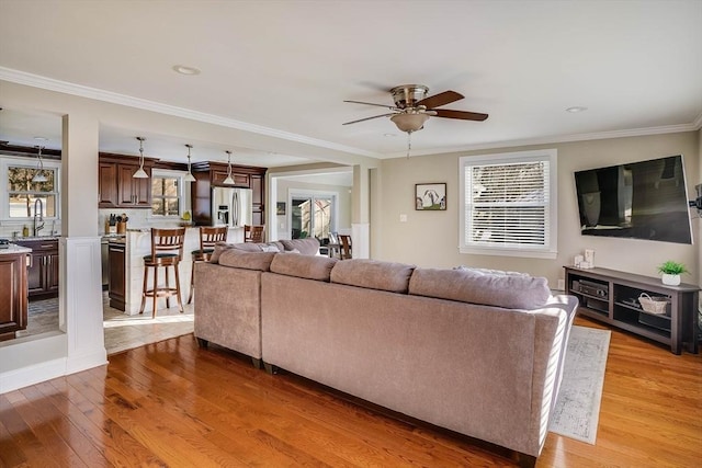 living room with ceiling fan, sink, ornamental molding, and hardwood / wood-style flooring