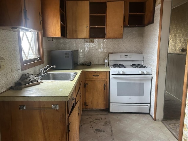 kitchen featuring sink and gas range gas stove