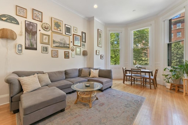 279 Beacon St Unit 1, Boston, MA 02116 - living area featuring hardwood / wood-style flooring, crown molding, and recessed lighting