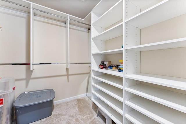 walk in closet with light colored carpet