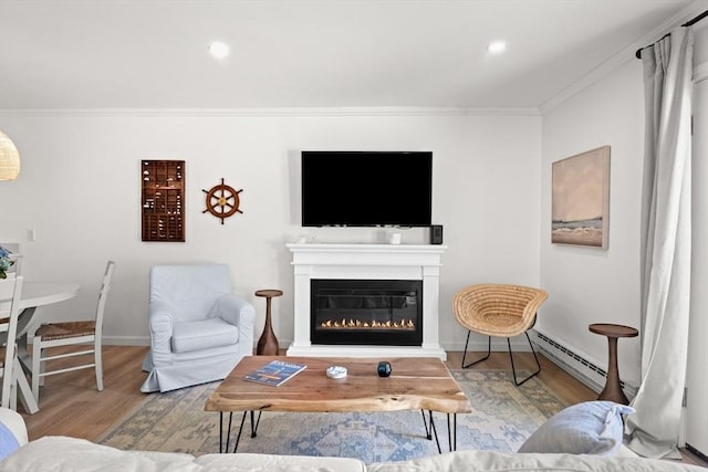 4 Agawam Ave, Ipswich, MA 01938 - living room featuring baseboard heating, crown molding, a glass covered fireplace, wood finished floors, and baseboards