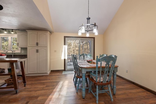 dining room with vaulted ceiling, a healthy amount of sunlight, and dark hardwood / wood-style flooring