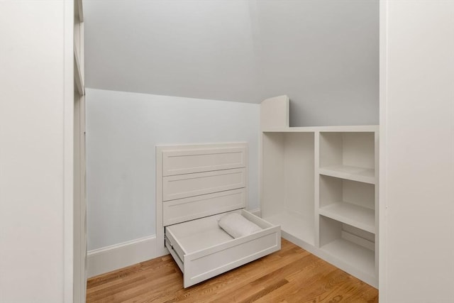 21 Francis St Unit 21, Newton, MA 02459 - walk in closet with light wood-type flooring