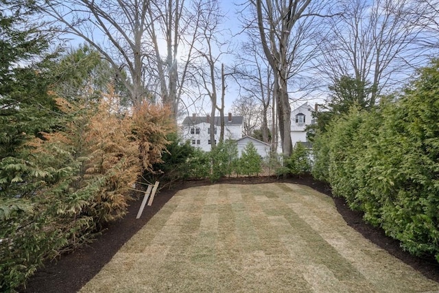21 Francis St Unit 21, Newton, MA 02459 - view of yard