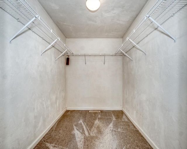 spacious closet featuring carpet floors