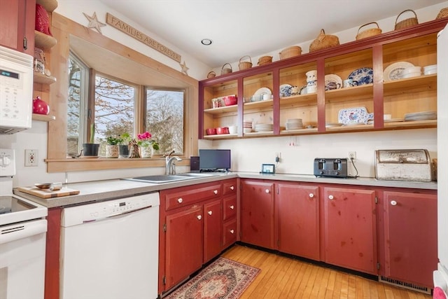 kitchen featuring sink, light hardwood / wood-style floors, and white appliances