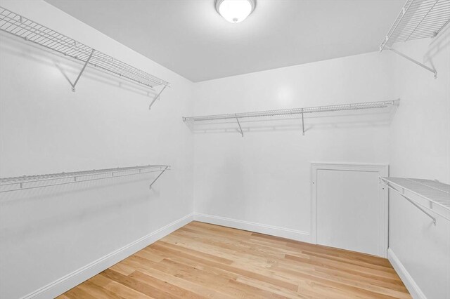 spacious closet with light wood finished floors