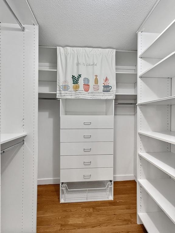 spacious closet featuring wood finished floors