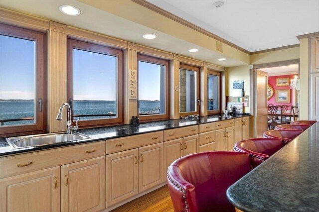 3 Anchorage Ln, Marblehead, MA 01945 - bar area featuring a sink, crown molding, recessed lighting, light wood finished floors, and healthy amount of natural light