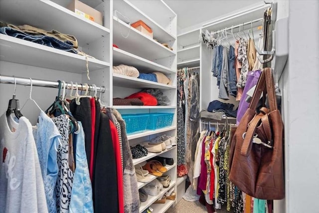 216 Reservoir St Unit 304, Holden, MA 01520 - view of walk in closet