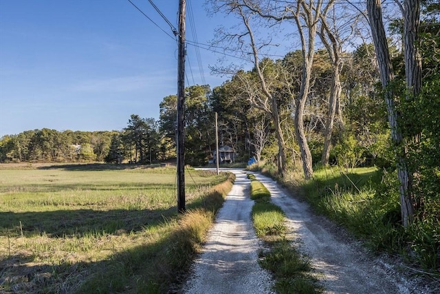 50 Higgins Ln, Wellfleet, MA 02667 - view of road featuring a forest view