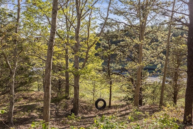 50 Higgins Ln, Wellfleet, MA 02667 - view of wooded area