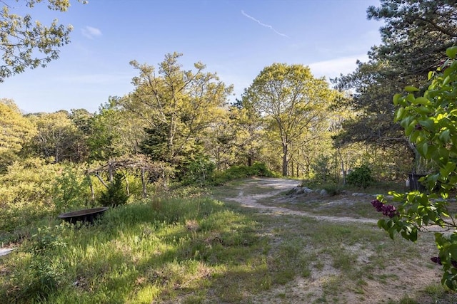 50 Higgins Ln, Wellfleet, MA 02667 - view of yard featuring a view of trees