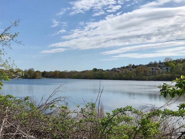 water view