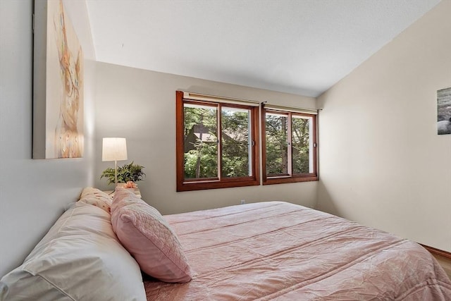 525 Tumbling Hawk Unit 525, Acton, MA 01720 - bedroom with lofted ceiling