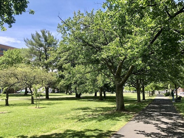 view of community featuring a lawn