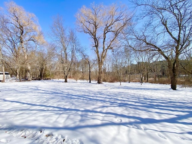 view of snowy yard