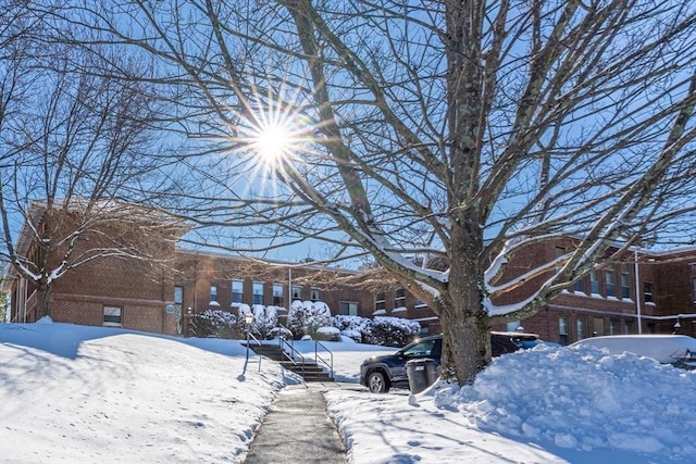 view of yard covered in snow