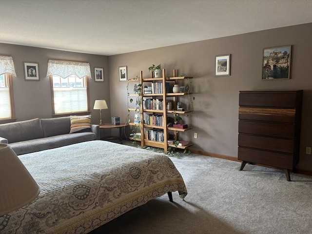 351-355 Main St Unit G, Easthampton, MA 01027 - carpeted bedroom featuring baseboards