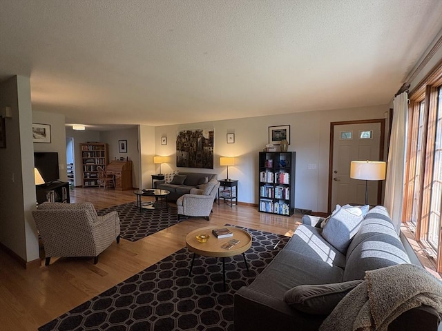 351-355 Main St Unit G, Easthampton, MA 01027 - living room with wood finished floors and baseboards
