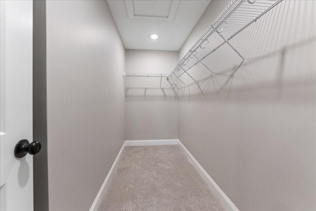 6 Nicols Way Unit 6, Easthampton, MA 01027 - walk in closet with carpet flooring and attic access