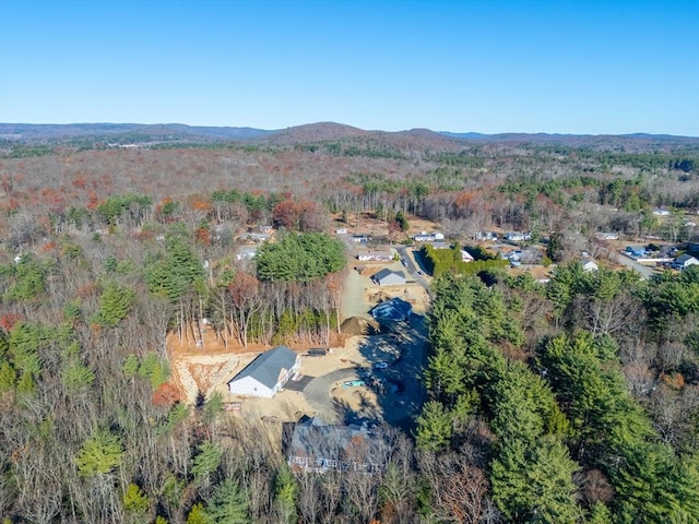 6 Nicols Way Unit 6, Easthampton, MA 01027 - aerial view of property's location with a heavily wooded area