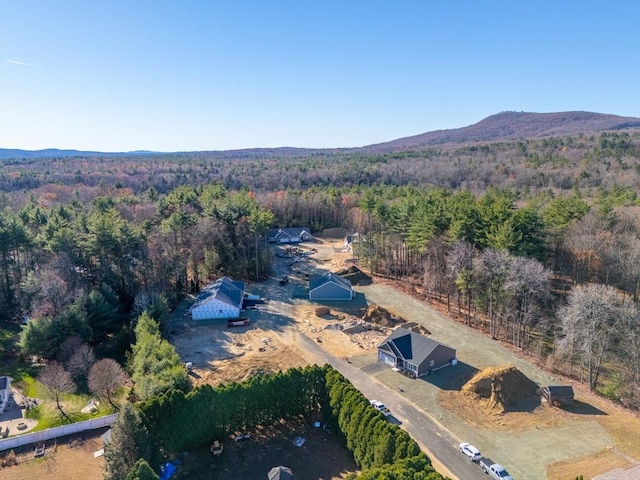 6 Nicols Way Unit 6, Easthampton, MA 01027 - drone / aerial view of a heavily wooded area