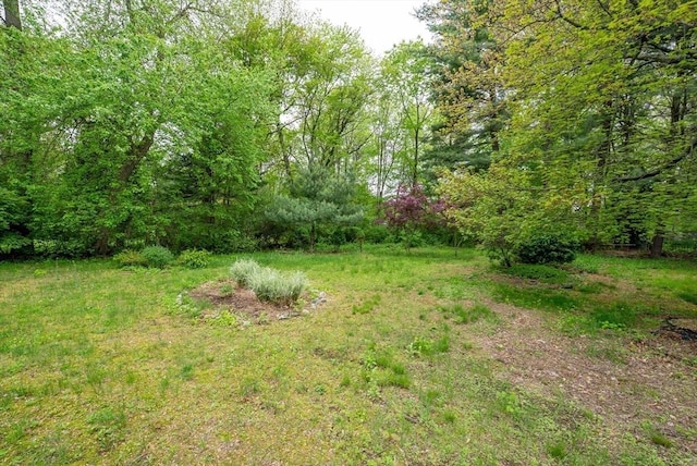 215 Pine Acre Rd, Springfield, MA 01129 - view of yard with a wooded view