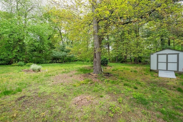 215 Pine Acre Rd, Springfield, MA 01129 - view of yard with a storage shed, an outbuilding, and a wooded view