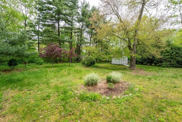 215 Pine Acre Rd, Springfield, MA 01129 - view of yard with a shed and an outbuilding